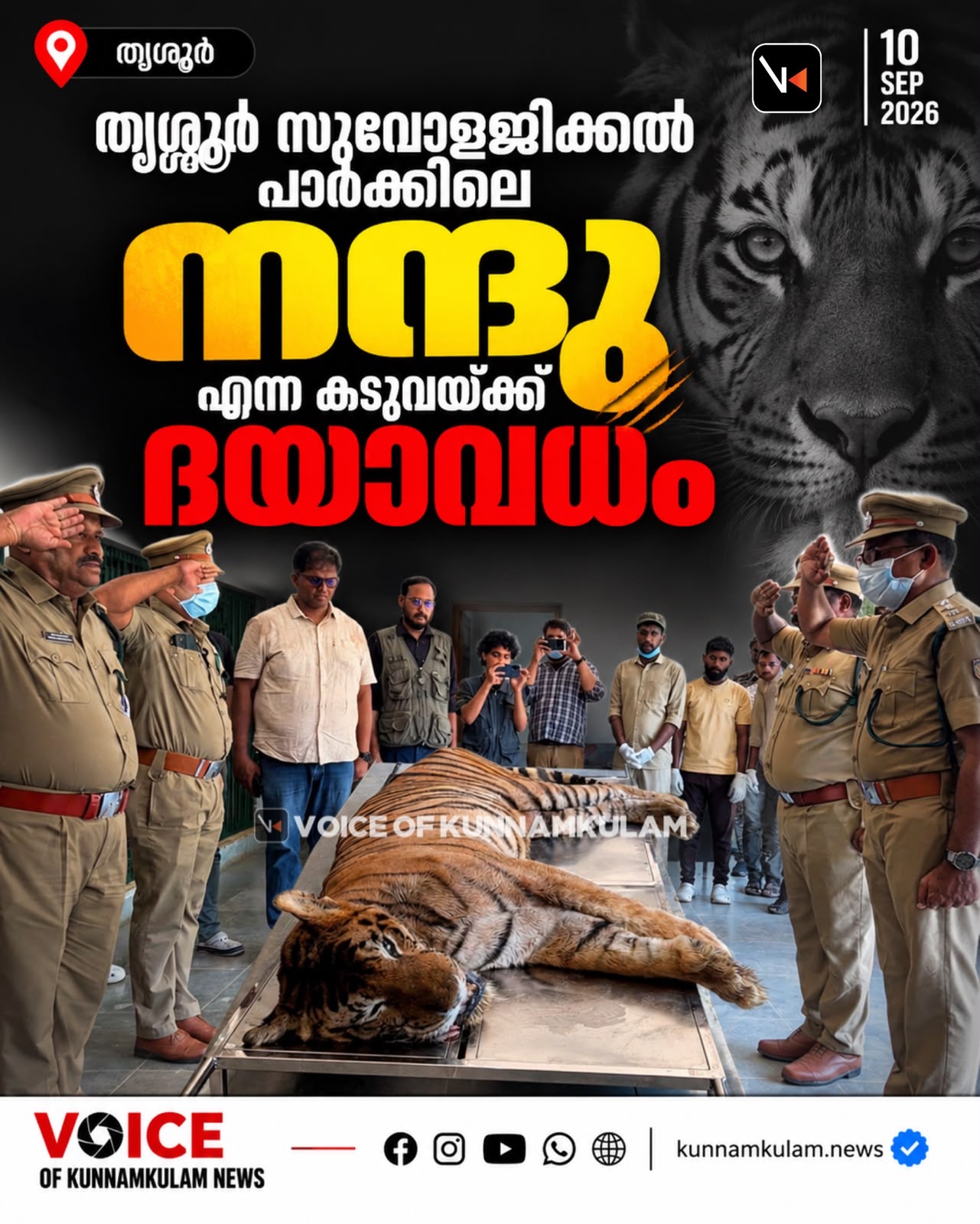 തൃശ്ശൂർ സുവോളജിക്കൽ പാർക്കിലെ നന്ദു എന്ന കടുവയ്ക്ക് ദയാവധം